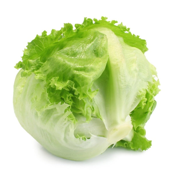 Lettuce